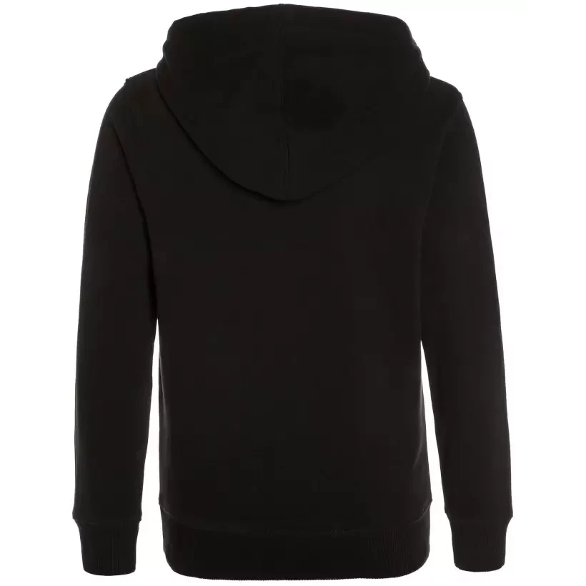 Sweatshirt Billabong Access Hood