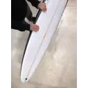 Surfboard Pukas Water Lion