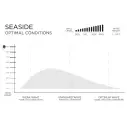 Surfbretter Firewire Seaside