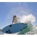 Prancha de surf Firewire Seaside