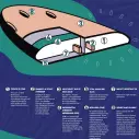Surfbrett softboard Softlite Pop Stick
