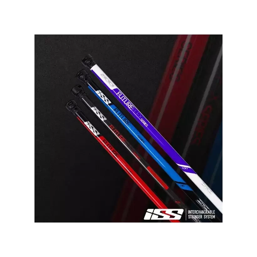 Stringer intercambiable ISS