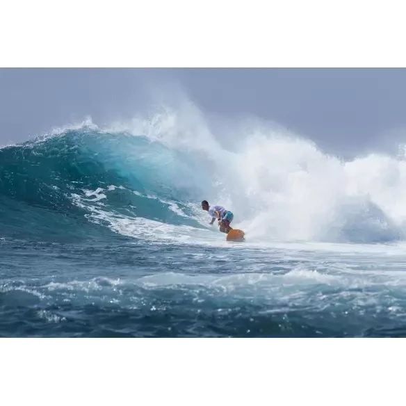 Surfboard Torq fish Classic Design