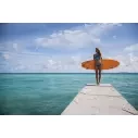 Surfboard Torq fish Classic Design