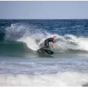 Softboard Ryder Retro Fish Black