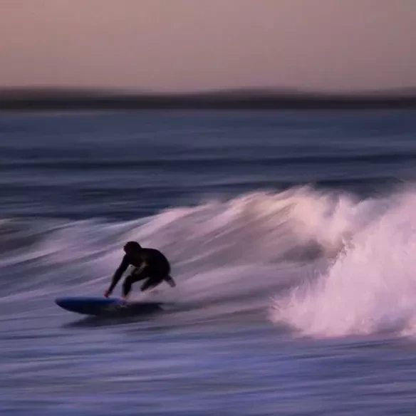 Softboard Ryder Retro Fish Black