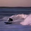 Planche de surf softboard Ryder Retro Fish Black