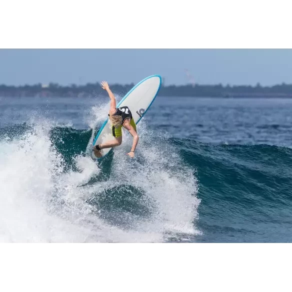 Torq Pinline Colour Funboard Color Rail