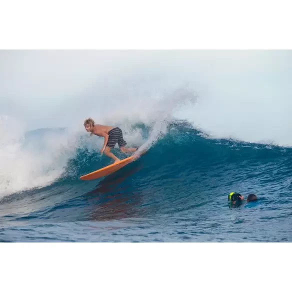 Surfbrett Torq Funboard Pinline Color Rail