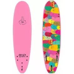 Softboard Catch Surf Odysea Log Evan Rossell