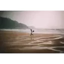 Planche de surf Pukas The Link Hp