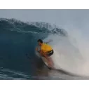 Surfboard Channel Island Twin Pin