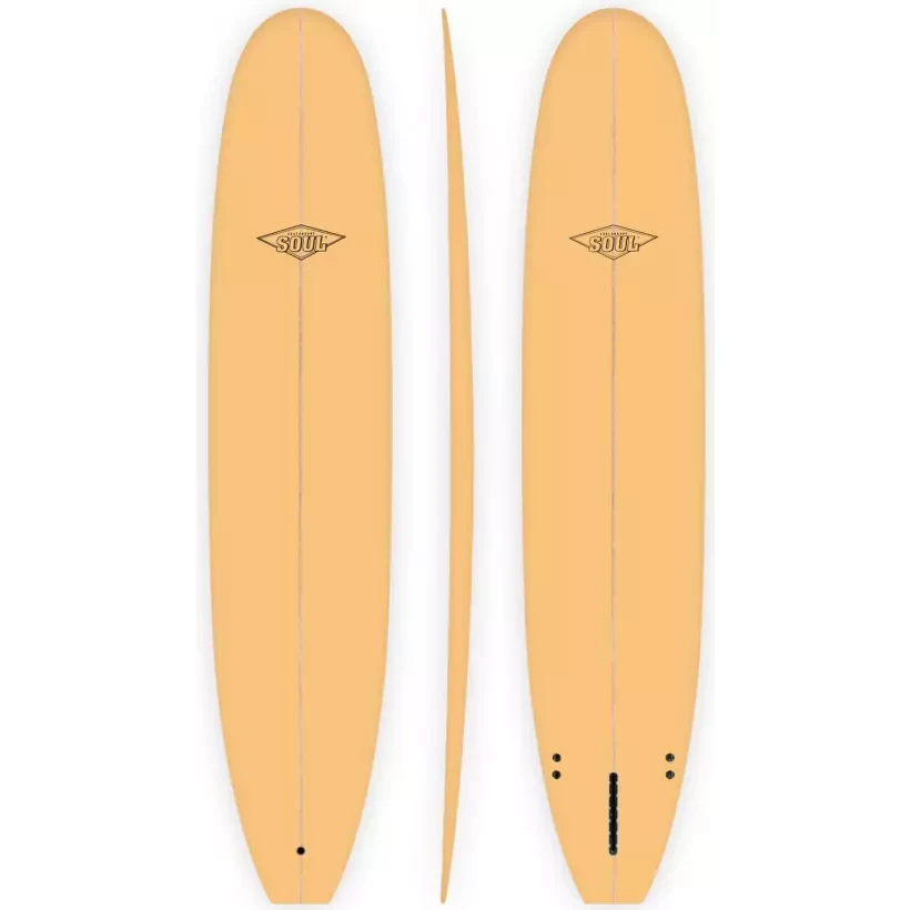 Planche de surf Longboard Soul Buzzy