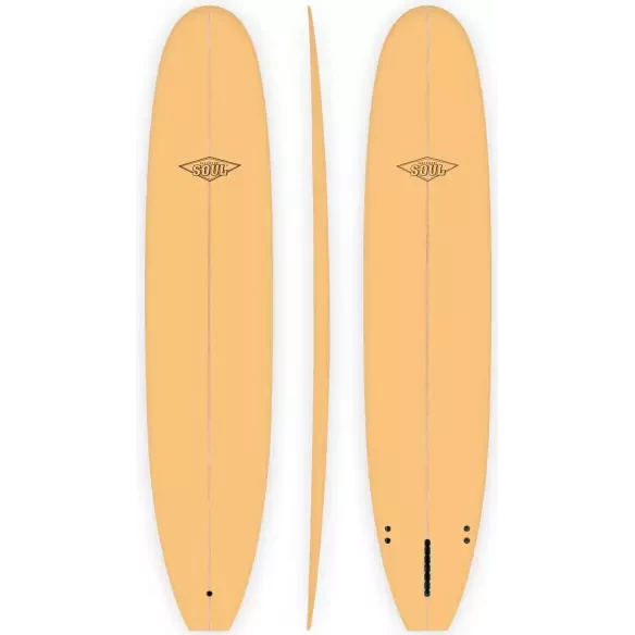 Planche de surf Longboard Soul Buzzy