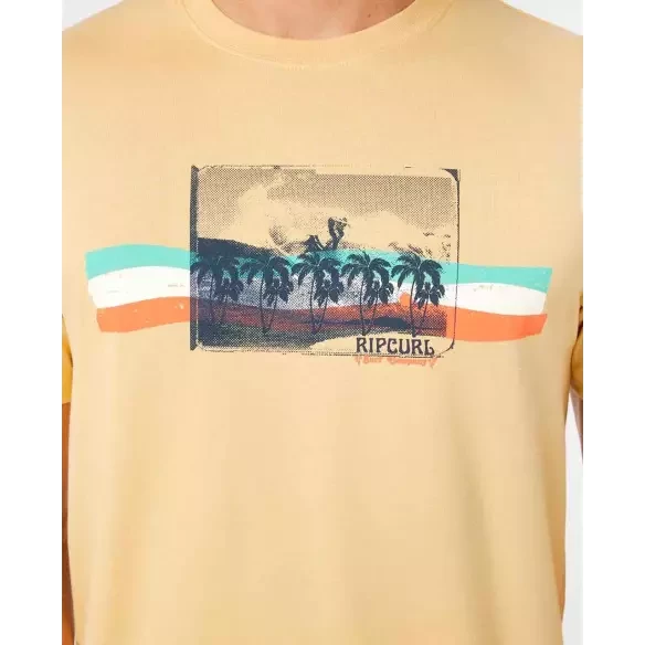 Camisa Rip Curl striped