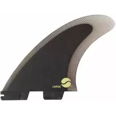 Vinnen FCS II Carver PC 2