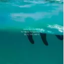 Paraffine-Ocean & Aarde Max Wax Eco Friendly Cold