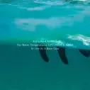 Ocean & Earth Max Wax Eco Friendly Tropical