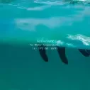 Paraffine-Ocean & Aarde Max Wax Eco Friendly Cool