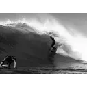 Planche de surf Slater Designs Great White