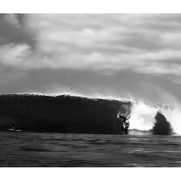 Planche de surf Slater Designs Great White