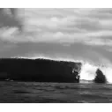 Surfbrett Slater Designs Great White