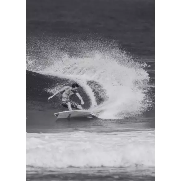 Surfboard Channel Island Fishbeard