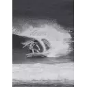 Prancha de surf Channel Island Fishbeard