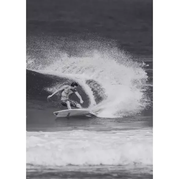 Surfboard Channel Island Fishbeard Spine-Tek