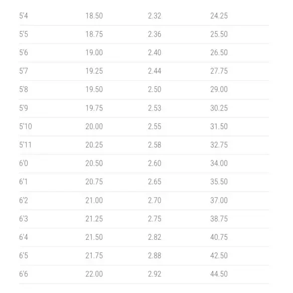 Planche de surf Lost Sub Scorcher Sting Light Speed