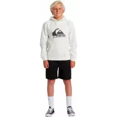 Sweatshirt Quiksilver big logo Beige Junior 2