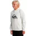 Sudadera Quiksilver big logo Beige Junior