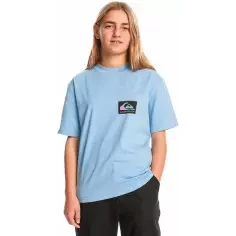 Quiksilver Back Flash Hydrangea Junior T-shirt