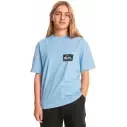 Maglietta Quiksilver Back Flash Hydrangea Junior