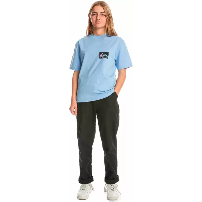 Quiksilver Back Flash Hydrangea Junior T-shirt