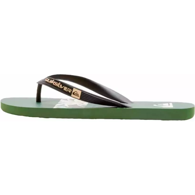 Flip Flops Quiksilver Java art Green
