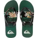 Flip-Flops Von Quiksilver Java art Green