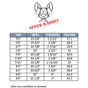 Surfboard MS Speed Rabbit Round Pin