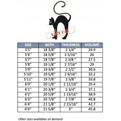 Surfboard MS Lazy Cat CFE 2