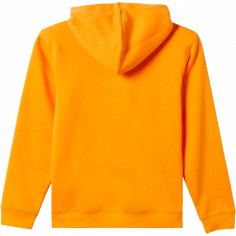 Sudadera Quiksilver Graphic Youth Hoodie Orange 2