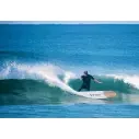 Surfbrett Firewire Special T Helium