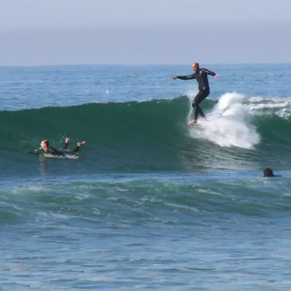 Surfboard longboard Firewire TJ pro Round Volcanic