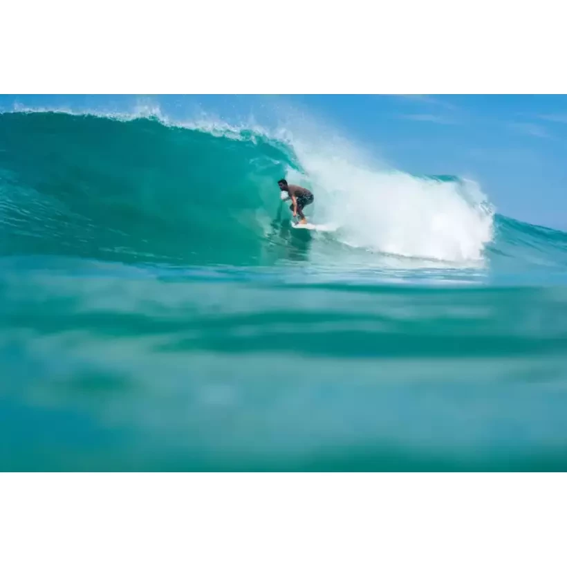 Planche de surf NSP fish Elements Green