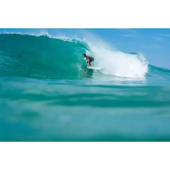 Surfplank NSP fish Element Green