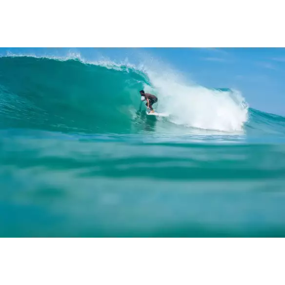 Surfboard NSP funboard Protech Ocean Tint