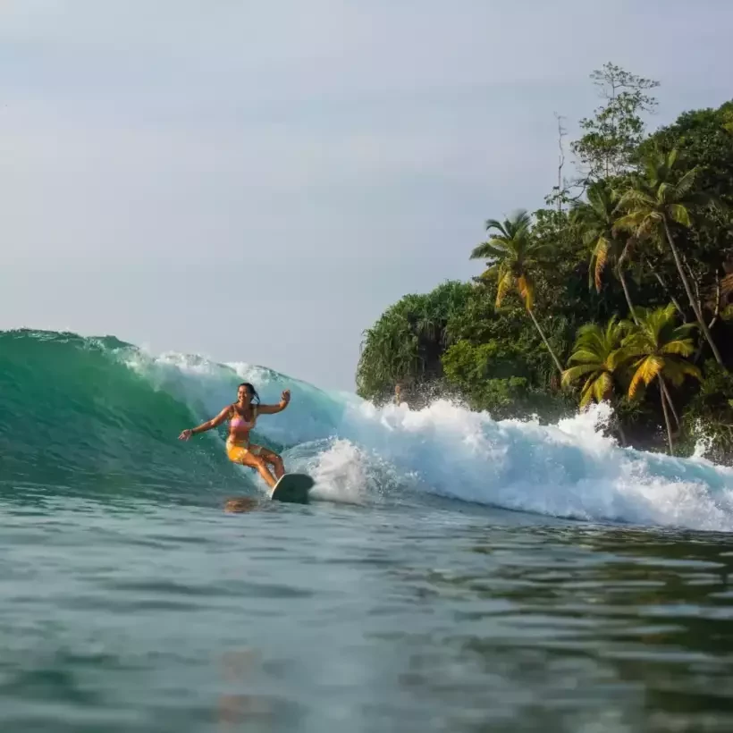 Surfplank NSP Element Double Vision Blue Powder