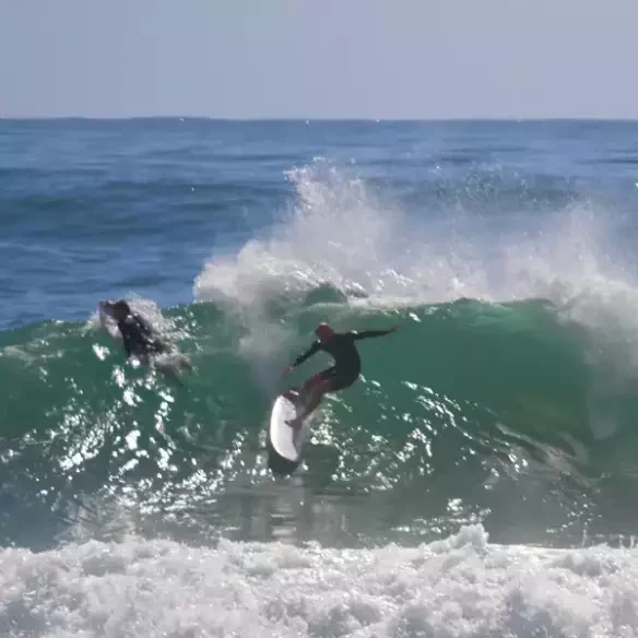 Planche de surf Firewire Taylor Jensen Pro Mid