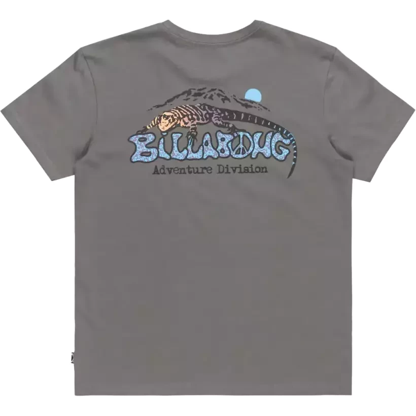 Camisa Billabong Lizard Mountain Slate Grey