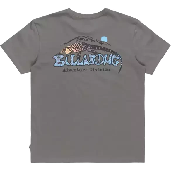 Camiseta Billabong Lizard Mountain Slate Grey