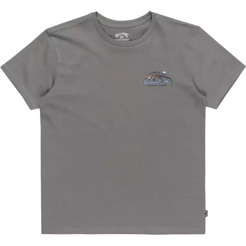 Camisa Billabong Lizard Mountain Slate Grey